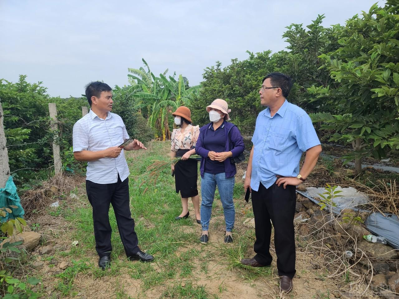 Dẫn phóng viên đi thăm vườn na, ông Nguyễn Đức Bồn cho biết, trước đây, mỗi vụ thu hoạch na chỉ kéo dài một tháng nên người trồng na thu hoạch khá vất vả, hay bị thương lái ép giá. Tuy nhiên hiện nay, nhờ áp dụng khoa học kĩ thuật vào sản xuất, người dân cho na ra quả rải vụ, kéo dài thời gian thu hoạch bằng cách tỉa cành vào những thời điểm nhất định và sử dụng chất dinh dưỡng hợp lý để na có thể ra quả ngay trên thân cây và vào những thời điểm thích hợp.