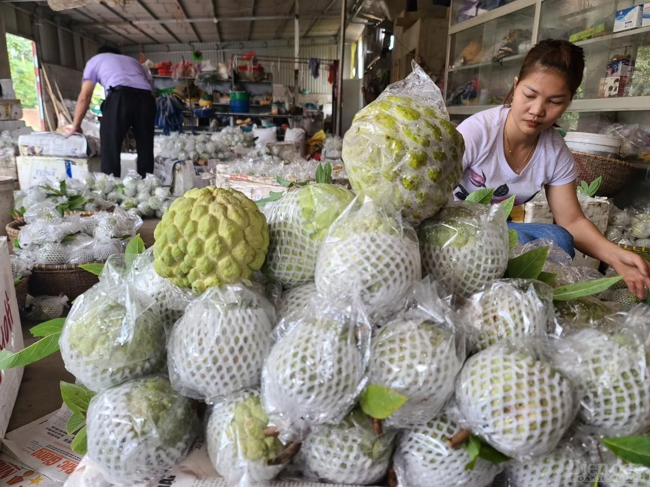 Na dai Lục Nam dạng khối hình trái tim, vỏ quả sần, có màu xanh hơi vàng, kẽ mắt có màu vàng trắng. Khi ăn, na có mùi thơm nhẹ và vị ngọt thanh, chua nhẹ, không chát. Sở dĩ na dai Lục Nam có mùi vị đặc trưng như vậy là do hàm lượng đường tổng số (12,05-12,56%) và độ Brix (15,96-19,04%) trong quả cao, trong khi hàm lượng Axit và Vitamin C trong quả thấp hơn các sản phẩm cùng loại khác. Đặc biệt, na Lục Nam còn có hàm lượng chất xơ cao, ở mức 0,88-1,62%.