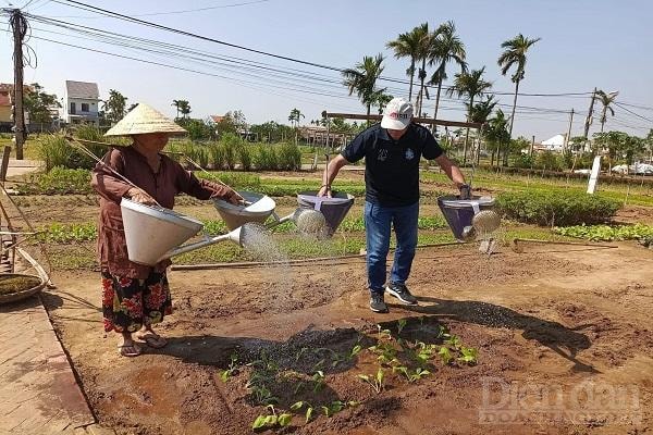 Hiện tại, các doanh nghiệp vẫn thiếu kết nối trong việc phát triển các sản phẩm du lịch xanh.