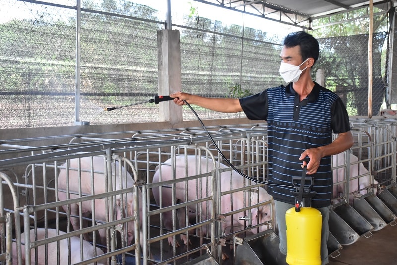 Cân nhắc loại bỏ các quy định không minh bạch về cơ sở, vùng an toàn dịch bệnh động vật - Ảnh minh họa: Internet
