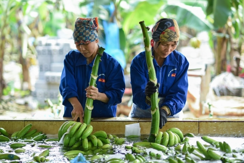 Thị trường Trung Quốc không còn là thị trường dễ tính, đây là thị trường không thua kém thị trường Mỹ và châu Âu trong tiêu chuẩn về quy cách, mẫu mã sản phẩm, chất lượng.