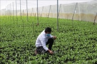 Luật Hợp tác xã năm 2012 - Bài 1: Bất cập góp vốn hợp tác xã