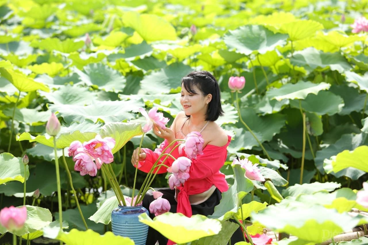 Chụp ảnh sen Tây Hồ là “món ăn tinh thần” không thể thiếu mỗi dịp hè về