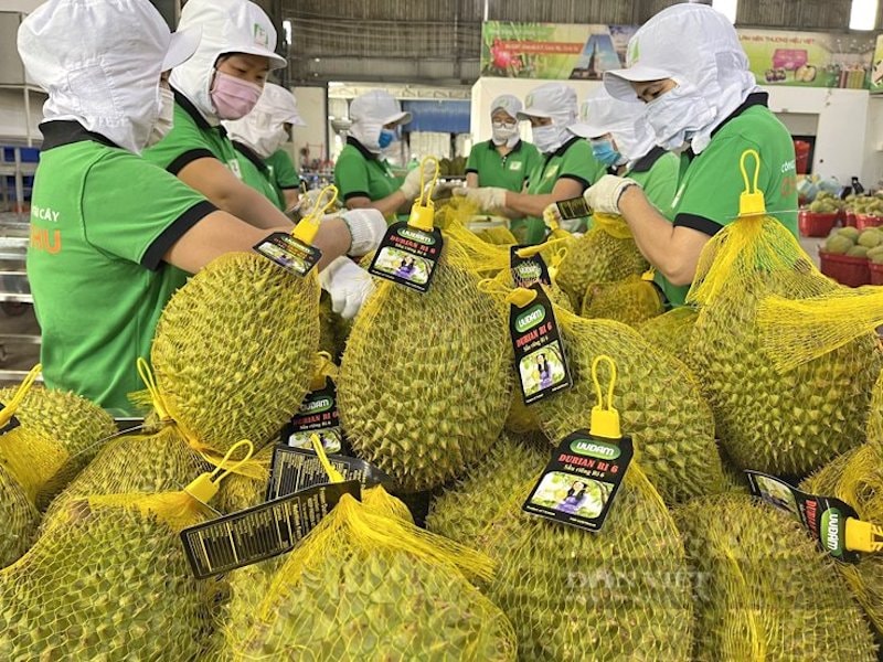 mặt hàng sầu riêng... Dù chúng ta đi sau Thái Lan nhưng sản phẩm của chúng ta đã vào được thị trường Trung Quốc