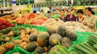Thương thảo các tiêu chuẩn kỹ thuật đối với thị trường xuất khẩu
