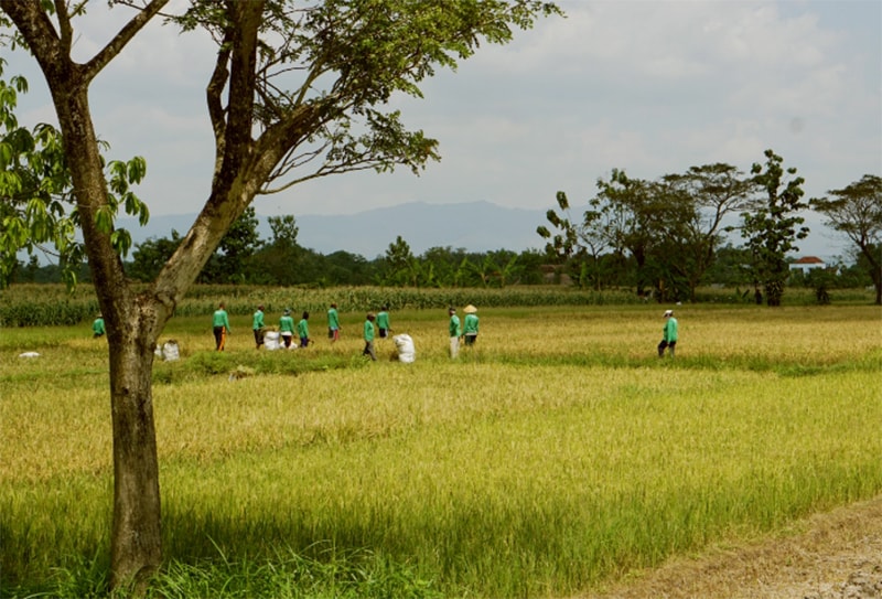 Nguồn Eratani