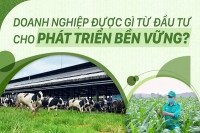 Doanh nghiệp được gì từ đầu tư phát triển bền vững?