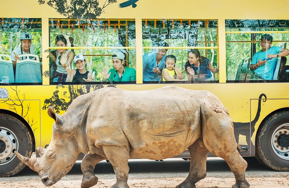 Trong khi đó, Công viên chăm sóc và bảo tồn động vật bán hoang dã Vinpearl Safari là thiên đường của những sinh vật quý hiếm như vượn cáo đuôi khoang, tê giác môi vuông, sư tử trắng cùng nhiều loài hoang dã tới từ các vùng đặc trưng trên thế giới. Tâm điểm của hành trình lạc vào thế giới muôn loài sẽ là trải nghiệm “nhốt người thả thú” độc đáo có 1-0-2 tại Việt Nam. Đây là nơi mọi người sẽ được trải nghiệm tương tác vừa hồi hộp vừa thú vị khi được tận mắt nhìn thấy Hổ Bengal, tê giác, linh dương Ả Rập, linh dương sừng xoắn… 