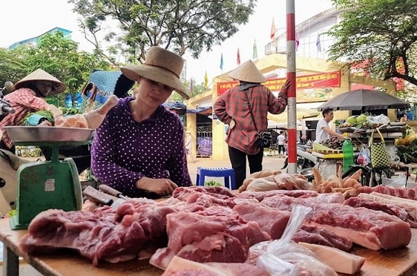 Đối với những người chăn nuôi nuôi cá thể giá thịt lợn hơi đã giảm từ 30-37%, trong khi giá thành hiện nay là 62.000 đồng/kg bao gồm thức ăn chăn nuôi và các chi phí đầu vào khác. Ảnh: Vũ Long