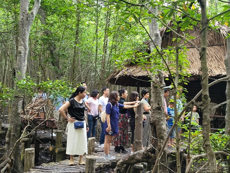 Những loài thực vật đặc trưng tại khu rừng ngập mặn Cần Giờ đó chính là cây đước, vẹt, bần, dà, mắm,...Vì sống trong môi trường ngập mặn nên các loài cây ngập mặn đã đặc biệt phát triển những khả năng để cho phép chúng phát triển trong những điều kiện như vậy.