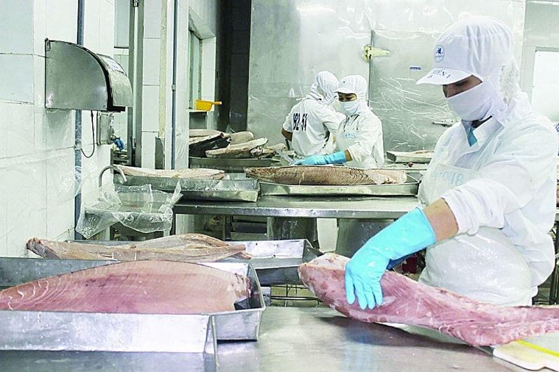 Kiến nghị của FFA không phải lần đầu, tuy nhiên, tới nay những bất cập trong quy định của Nghị định 09/2016/NĐ-CP vẫn chưa được giải quyết - Ảnh minh họa: HQ
