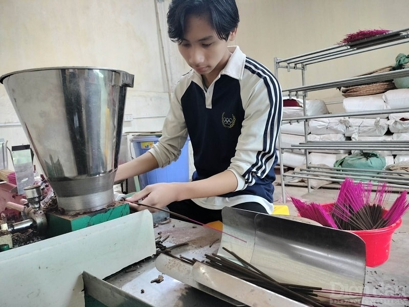 Xe vào các cây tre, nứa đã được làm sẵn trước đó