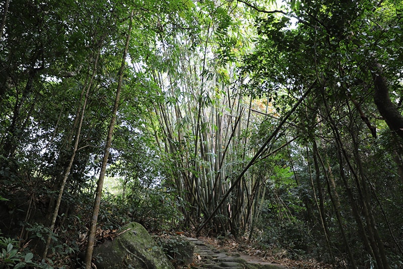 Lối vào chùa Lôi Âm.