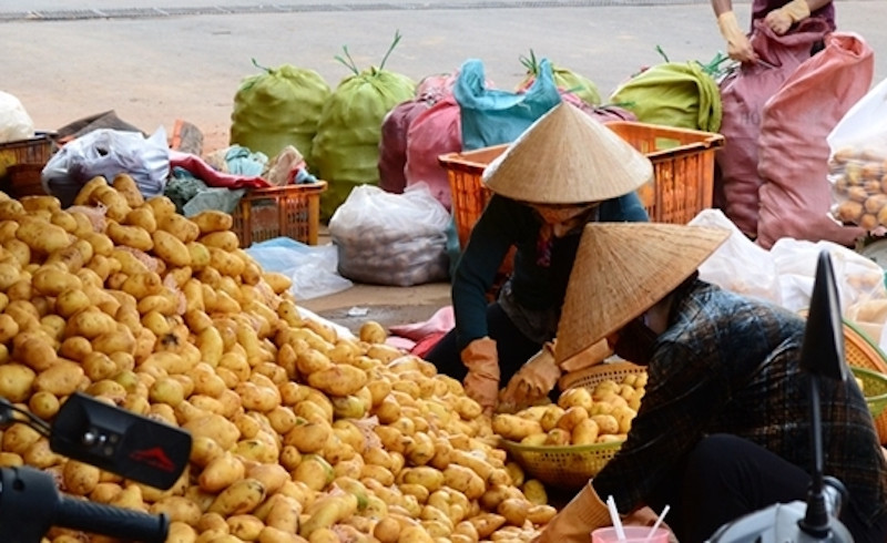 nhóm rau quả từ Trung Quốc mà Việt Nam nhập khẩu nhiều nhất là: khoai tây, hành tây, tỏi, cải thảo,