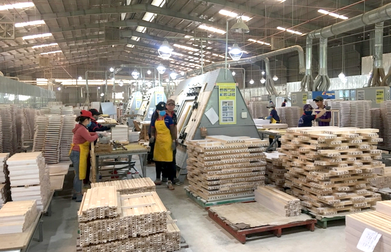 Tăng cường kêu gọi đầu tư từ các doanh nghiệp nước ngoài vào trồng rừng, bởi lẽ, họ có công nghệ, tiềm lực thuận lợi hình thành các chuỗi liên kết sản xuất.