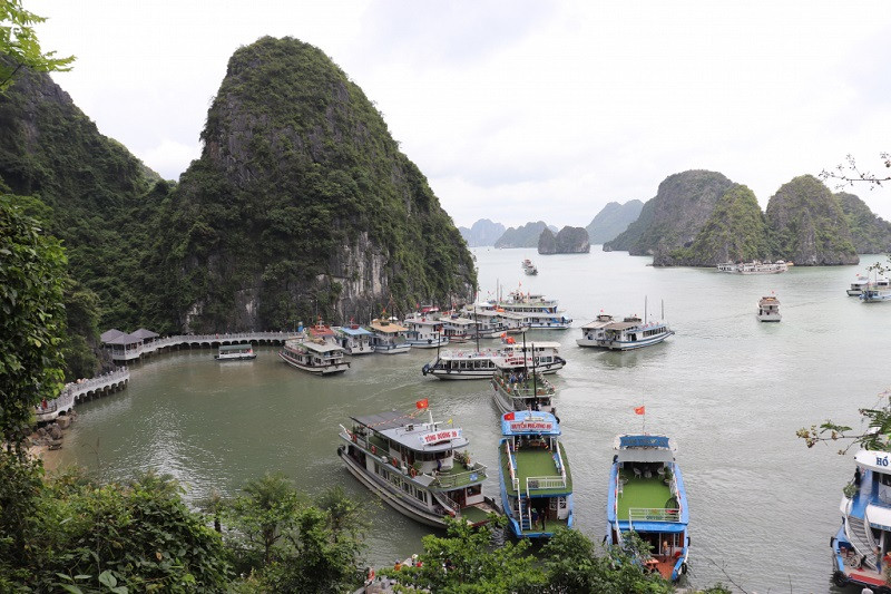 Các tàu du lịch trên vịnh Hạ Long đượcp/hướng dẫn thực hiện nghiêm việc bảo vệ môi trường trên vịnh