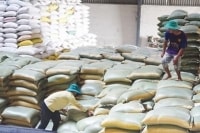TIN NÓNG CHÍNH PHỦ: Xuất cấp gạo cho 7 tỉnh dịp Tết Nguyên đán Quý Mão và giáp hạt năm 2023