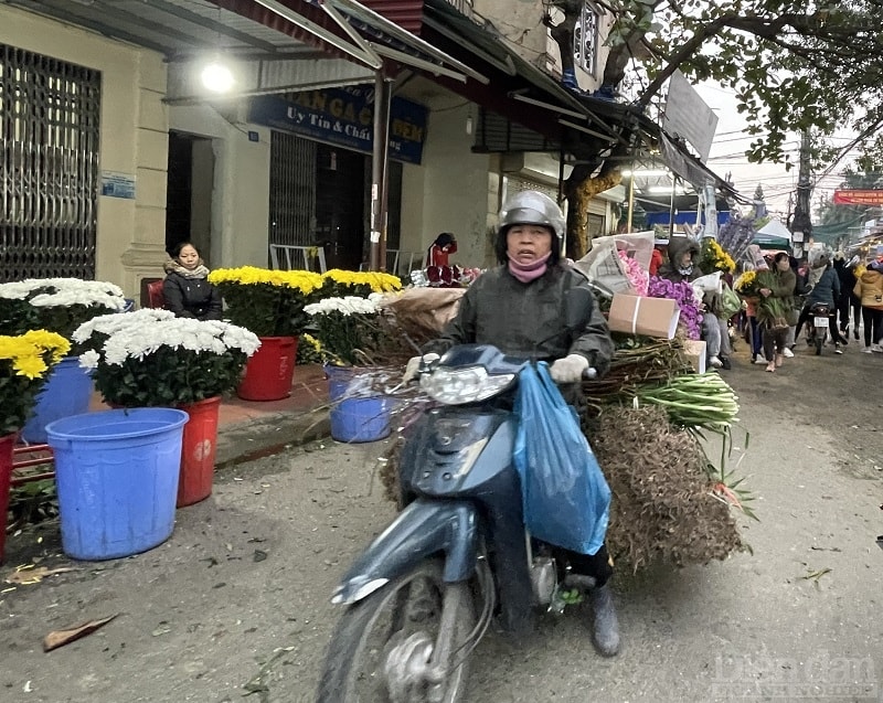 Còn chị Trần Thị Hà ở Thái Bình cho biết, hoa ở chợ Lũng đẹp, tươi với nhiều chủng loại hoa hơn ở các nơi khác. Bên cạnh hoa truyền thống, ở đây còn có nhiều loài hoa được nhập khẩu từ nước ngoài về để phục vụ Tết. Vì vậy, hơn 10 năm trở lại đây, năm nào chị cũng sang chợ Lũng để thu mua hoa về Thái Bình bán.