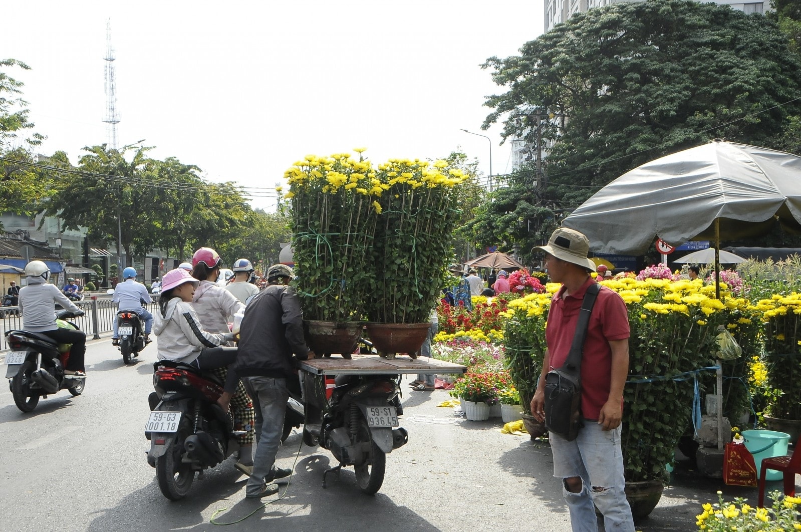 Những chậu cúc đại đóa như thế này chiều 30 Tết giá giảm chỉ còn chưa tới 1 nửa.