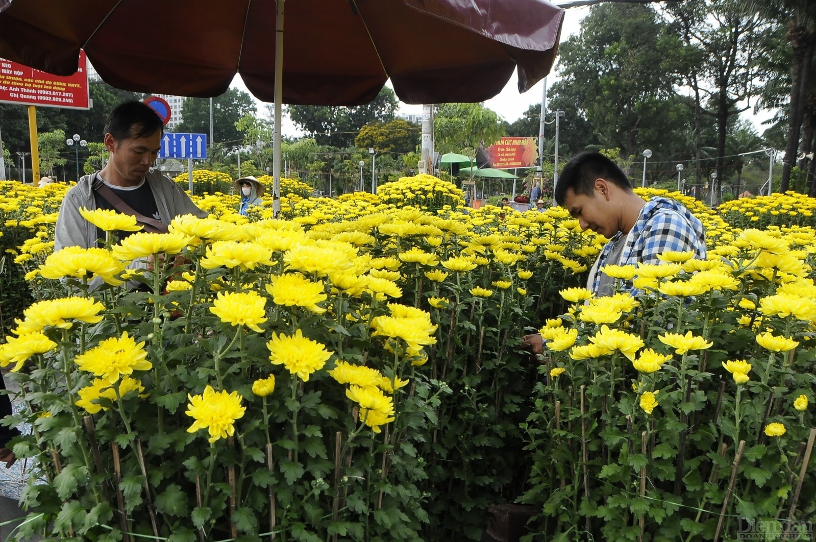 Tiểu thương chăm chút cho những chậu hoa chờ người mua.