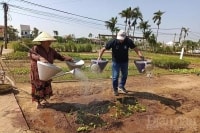 Cần thêm nhiều chính sách hỗ trợ du lịch xanh tại Quảng Nam