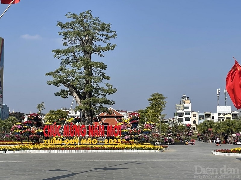 Sắc màu lung linh, rực rỡ đủ loại hoa sắc màu trang trí dải trung tâm thành phố và chợ hoa, cây cảnh bán dọc tuyến đường Lê Hồng Phong khiến nhiều người thích thú, cảm nhận một cái tết đoàn viên.