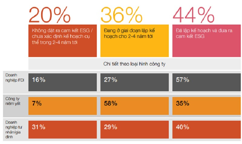  tình hình cam kết ESG hiện tại của tổ chức được chính doanh nghiệp tham gia khảo sát mô tả