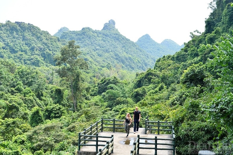 Đường vào động Trung Trang, du khách như được đắm chìm trong không gian xanh mát của cây cối và sự hùng vĩ của núi, rừng