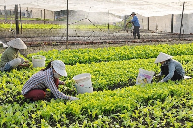 giải pháp tìm kiếm các cơ hội mới, tăng cường chia sẻ với cộng đồng doanh nghiệp, đặc biệt là với các hợp tác xã.
