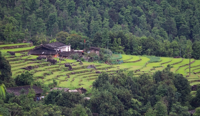 Bản Sông Moóc hấp dẫn du khách bởi nằm lưng chừng núi, thấp thoáng những ngôi nhà vách đất giữa ruộng bậc thang hay rừng hồi, quế. (báo Quảng Ninh)