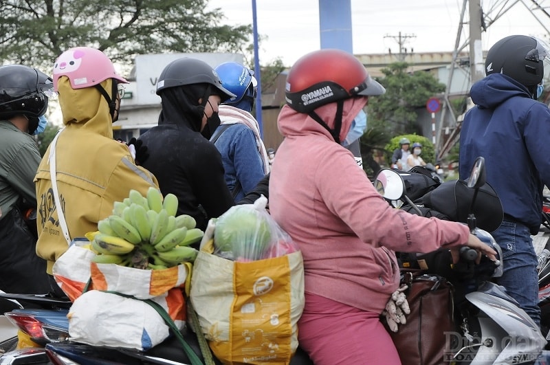 Chuối chín cây cũng được người dân mang lên Thành phố làm quà.