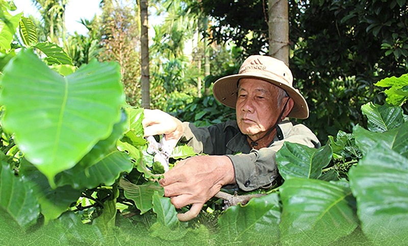 Du lịch nông thôn chưa được quan tâm đúng với tiềm năng