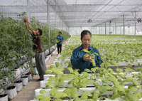 Kiến nghị xây dựng Luật Hợp tác xã