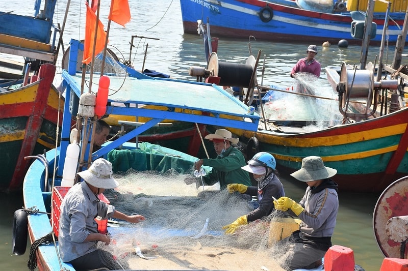 Cân nhắc việc yêu cầu thiết bị giám sát hành trình tích hợp chức năng cứu hộ cứu nạn lắp đặt trên tàu cá - Ảnh minh họa: BRVT