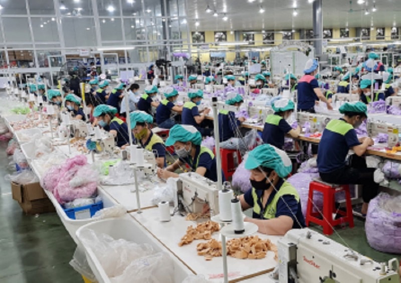 Dự án sản xuất đồ chơi trẻ em của Công ty TNHH Innoflow Vina (Ảnh: Báo Thái Bình)