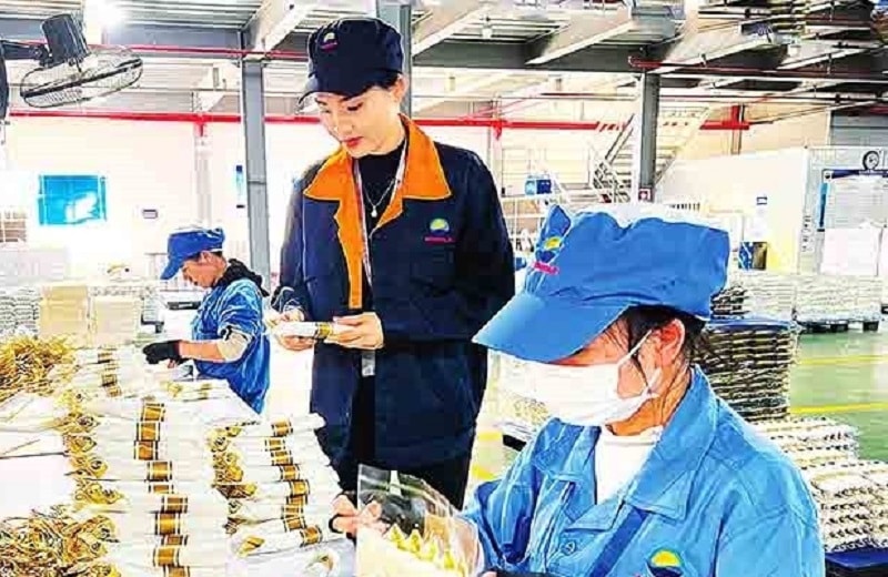 Khu vực FDI đã trở thành một bộ phận cấu thành quan trọng trong phát triển kinh tế, được khuyến khích phát triển lâu dài tại địa phương (ảnh báo Hải Dương)