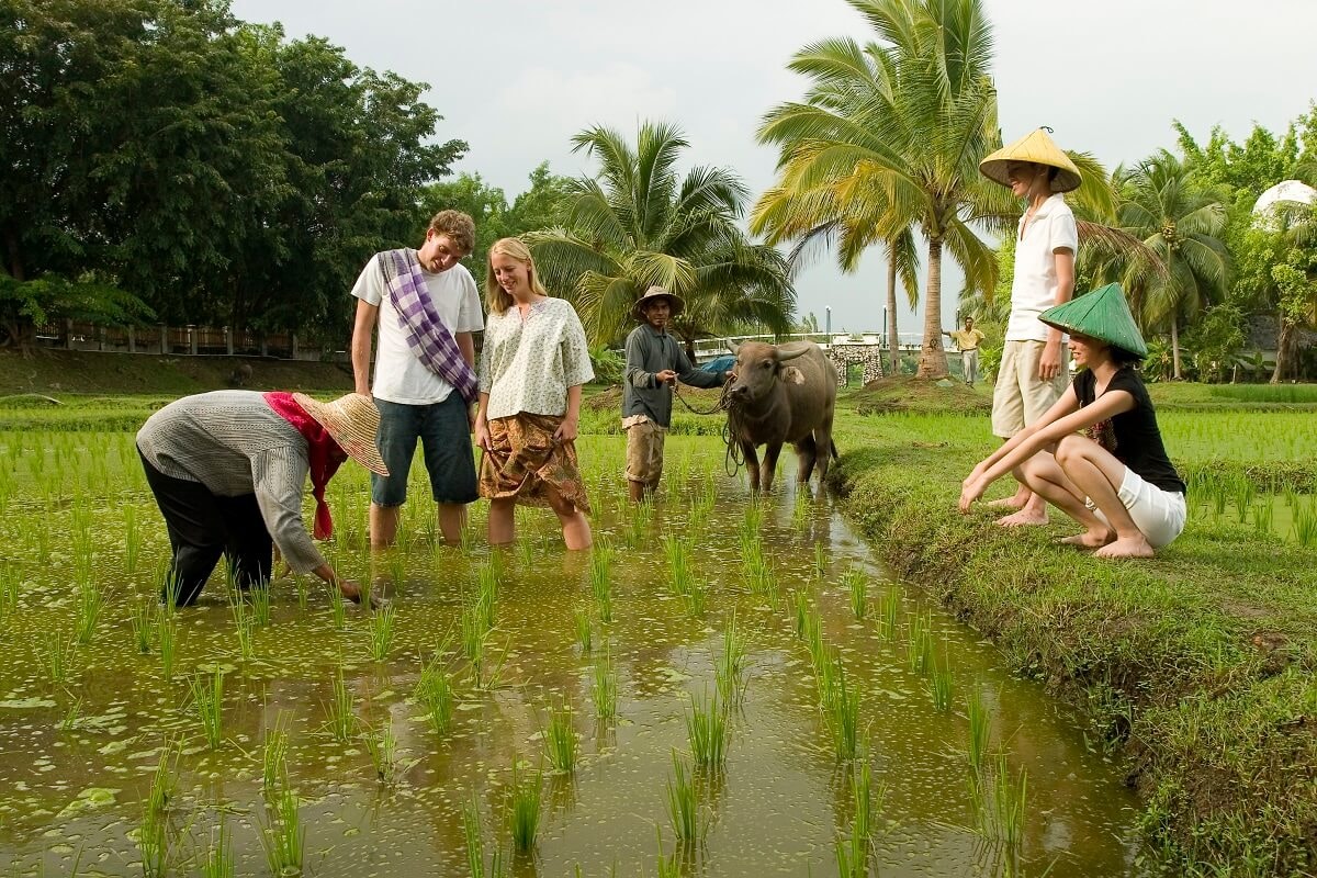 Trước những hạn chế của loại hình du lịch nông nghiệp, nông thôn tại Hà Nội, việc cần thiết lúc này là phải có tiêu chí cụ thể để phát triển du lịch nông nghiệp, nông thôn theo hướng tăng trưởng xanh và bền vững.