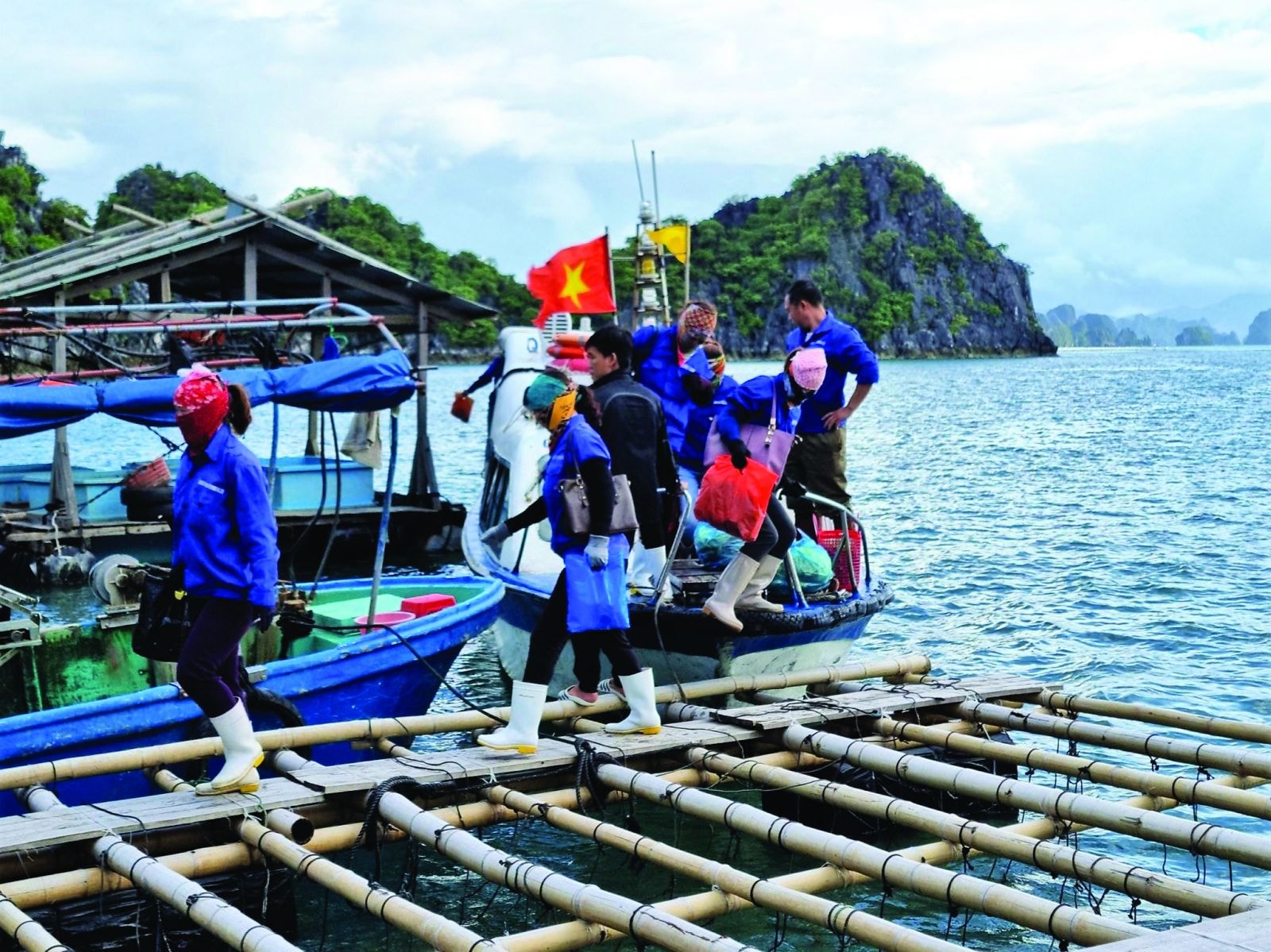   Nuôi trồng thủy sản tự phát, không đúng quy định khiến nhiều hộ ở Quảng Ninh rơi vào cảnh thua lỗ do dịch bệnh và thiếu nguồn cung. 