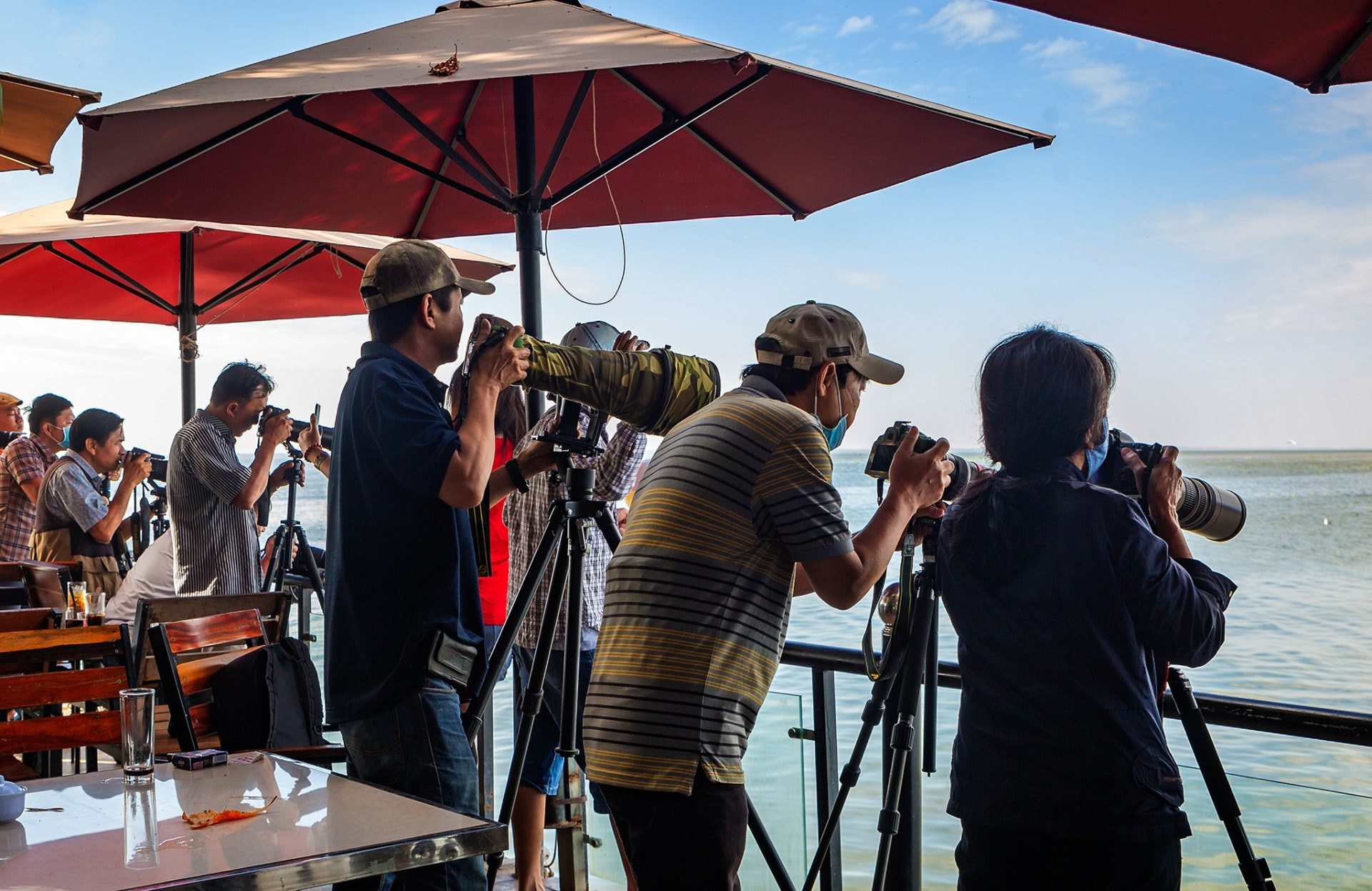 Khoảnh khắc chim hải âu săn mồi trên biển Kiên Giang