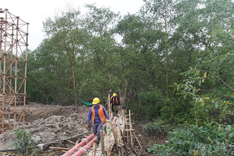 Tạm thời, phía bên bờ TP Hải Phòng, đơn vị thi công phải lắp đặt 500m cầu tre để giúp công nhân di chuyển và nâng đỡ ống chứa bêtông