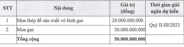 Phương án sử dụng vốn của TDG