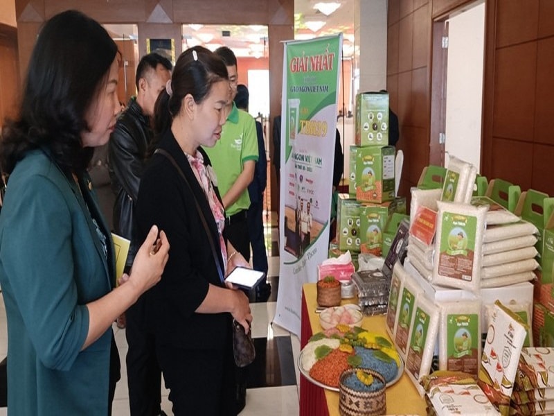 Thái Bình kết nối cung cầu tiêu thụ sản phẩm lúa gạo(BND)