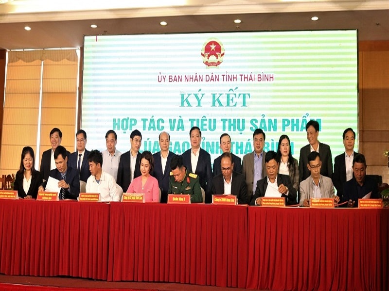 Tại hội nghị các các nhà sản xuất và nhà phân phối đã ký kết hợp tác, tiêu thụ sản phẩm lúa, gạo của tỉnh dưới sự chứng kiến của lãnh đạo các Cục của Bộ Công Thương, Bộ Nông nghiệp và Phát triển nông thôn, lãnh đạo tỉnh Thái Bình.