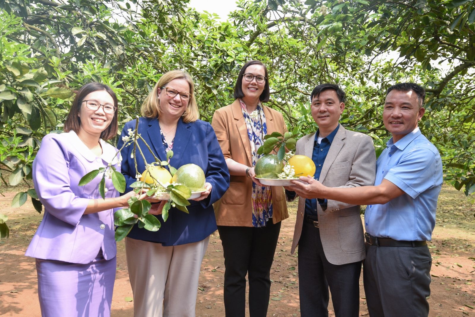 Hai Thứ trưởng Nông nghiệp Mỹ Alexis Taylor và Jenny Moffitt thăm vườn bưởi Diễn chất lượng cao tại huyện Hoài Đức, Hà Nội 