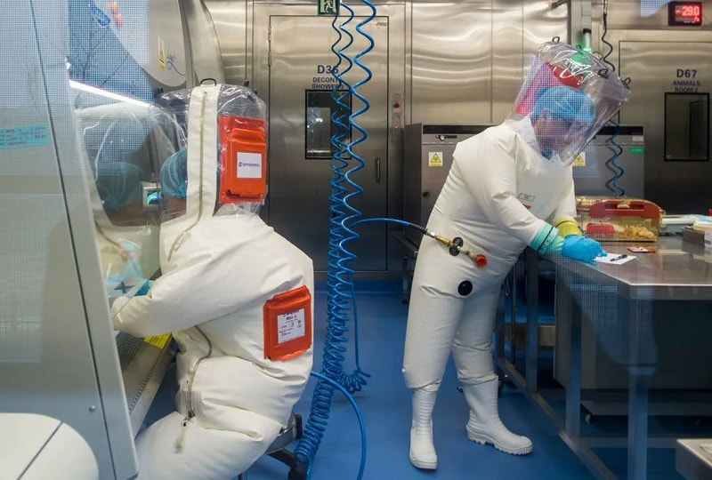 Các nhà nghiên cứu làm việc với chuột tại phòng thí nghiệm dịch tễ học ở Viện Virus học Vũ Hán năm 2017. Ảnh: AFP.