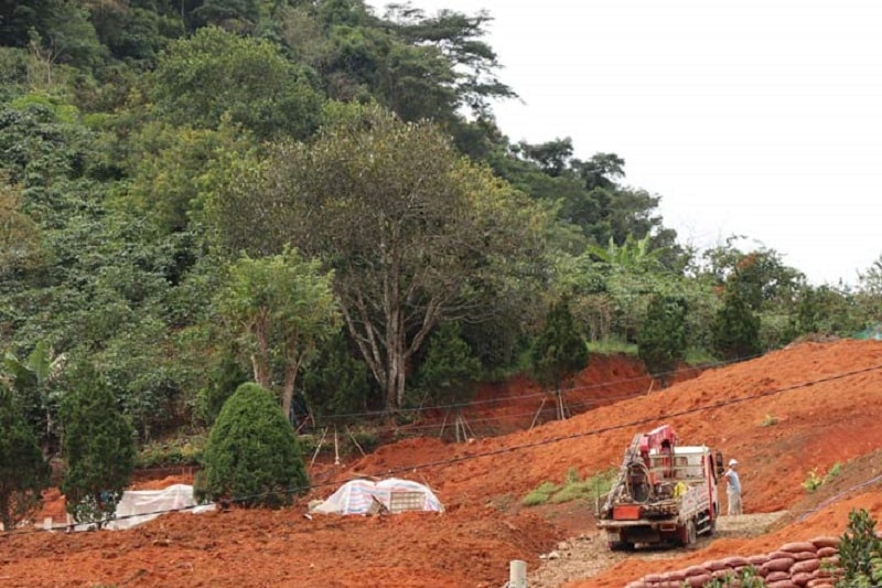 Dự thảo Luật Đất đai (sửa đổi) được cho còn chưa đảm bảo tính thống nhất với Luật Lâm nghiệp - Ảnh minh họa: ITN