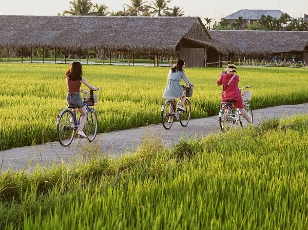 Ngành du lịch hiện nay đang bị ảnh hưởng bởi lượng rác thải rắn thải ra rất lớn mỗi năm tại các điểm du lịch đông du khách