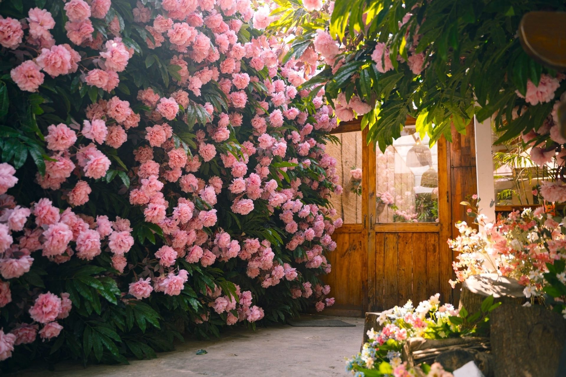 Cà phê sáng, trà chiều, tiệc đêm cho lễ 8/3