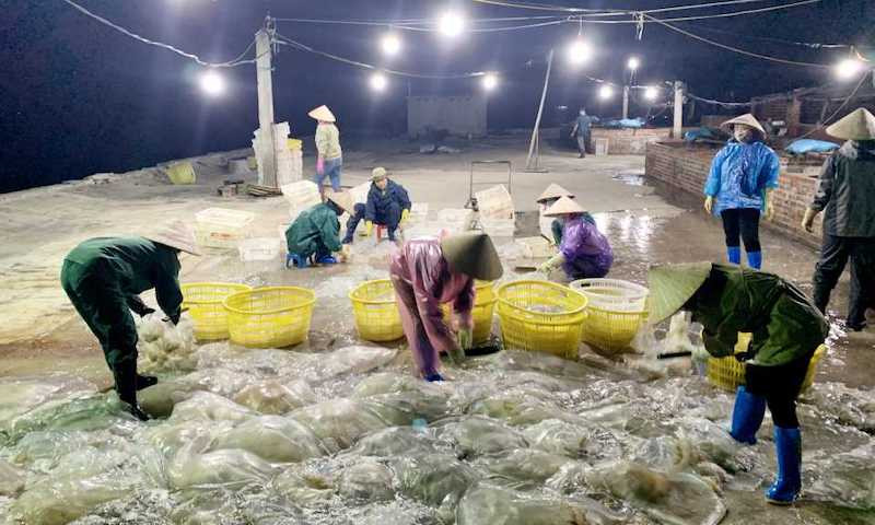 đề xuất cơ quan chức năng của hai nước nên sớm hoàn thiện các hồ sơ, thủ tục pháp lý để cho phép thí điểm nhập khẩu chính ngạch sản phẩm sứa Việt Nam vào Trung Quốc.