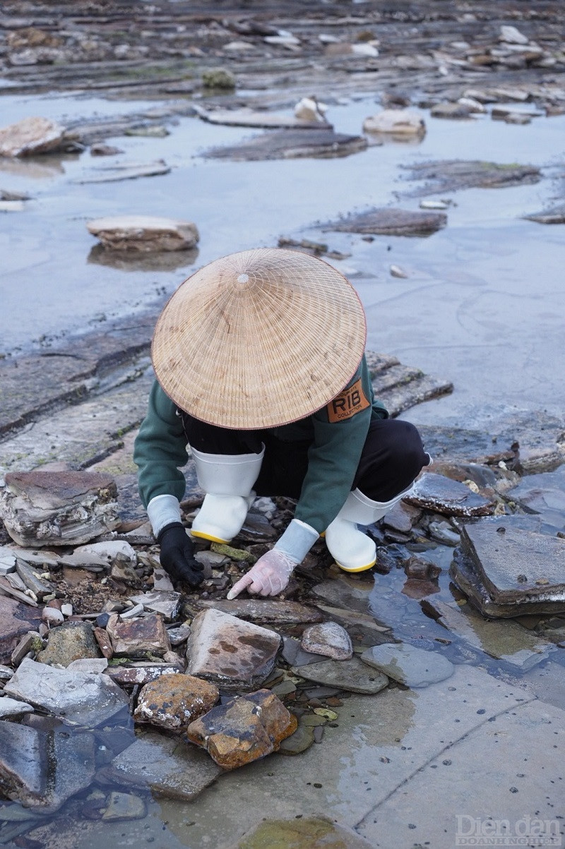 Buổi sớm mai, bạn có thể ra âu cảng dạo bộ cùng những người dân địa phương